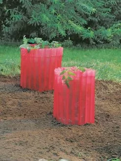 GSC Red Tomato Teepees, Set Of 3