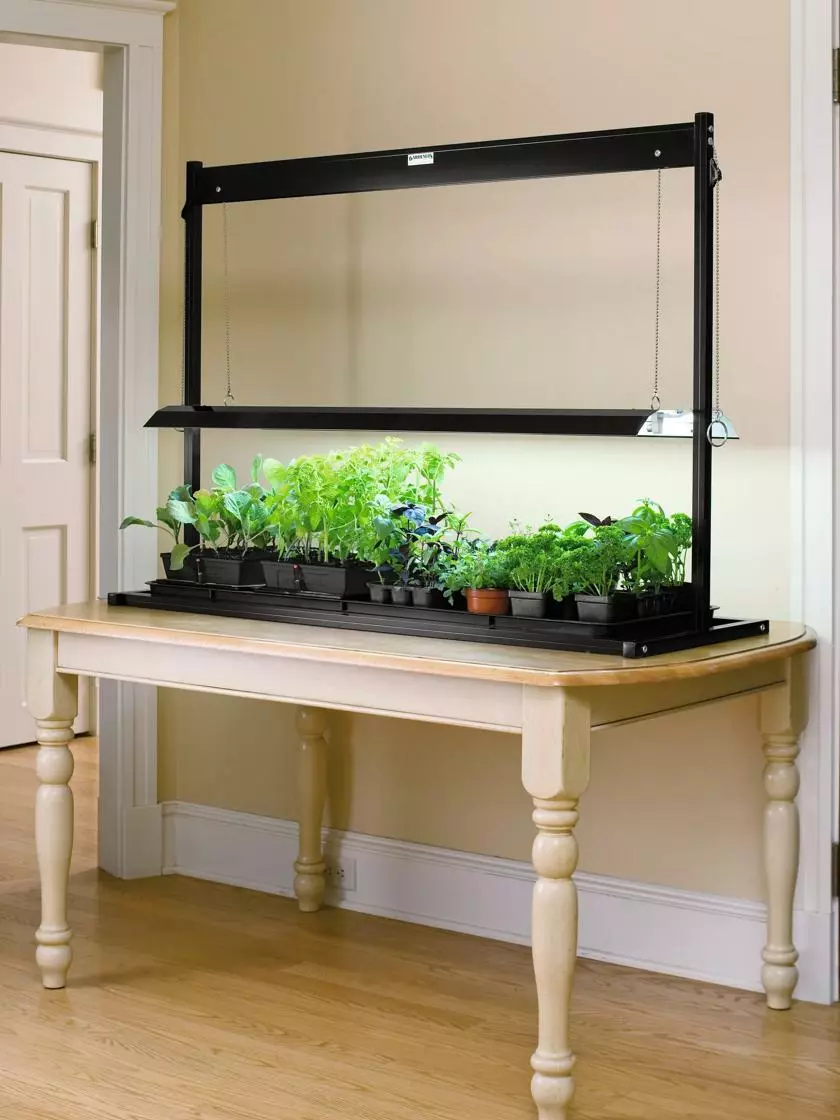 GSC Tabletop Sunlite® Garden