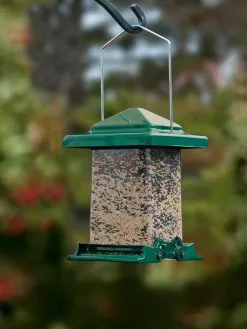 GSC Easy View Squirrel-Proof Birdfeeder