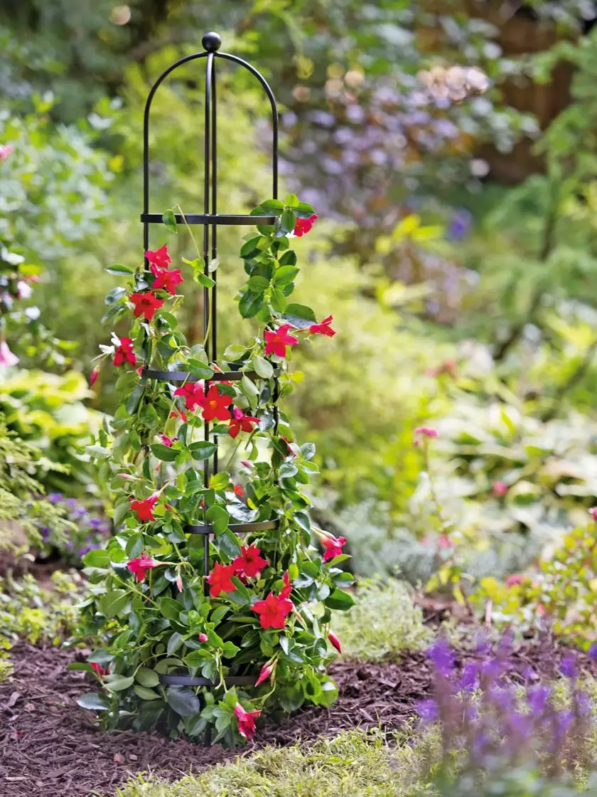GSC Essex Round Trellises - Image 6