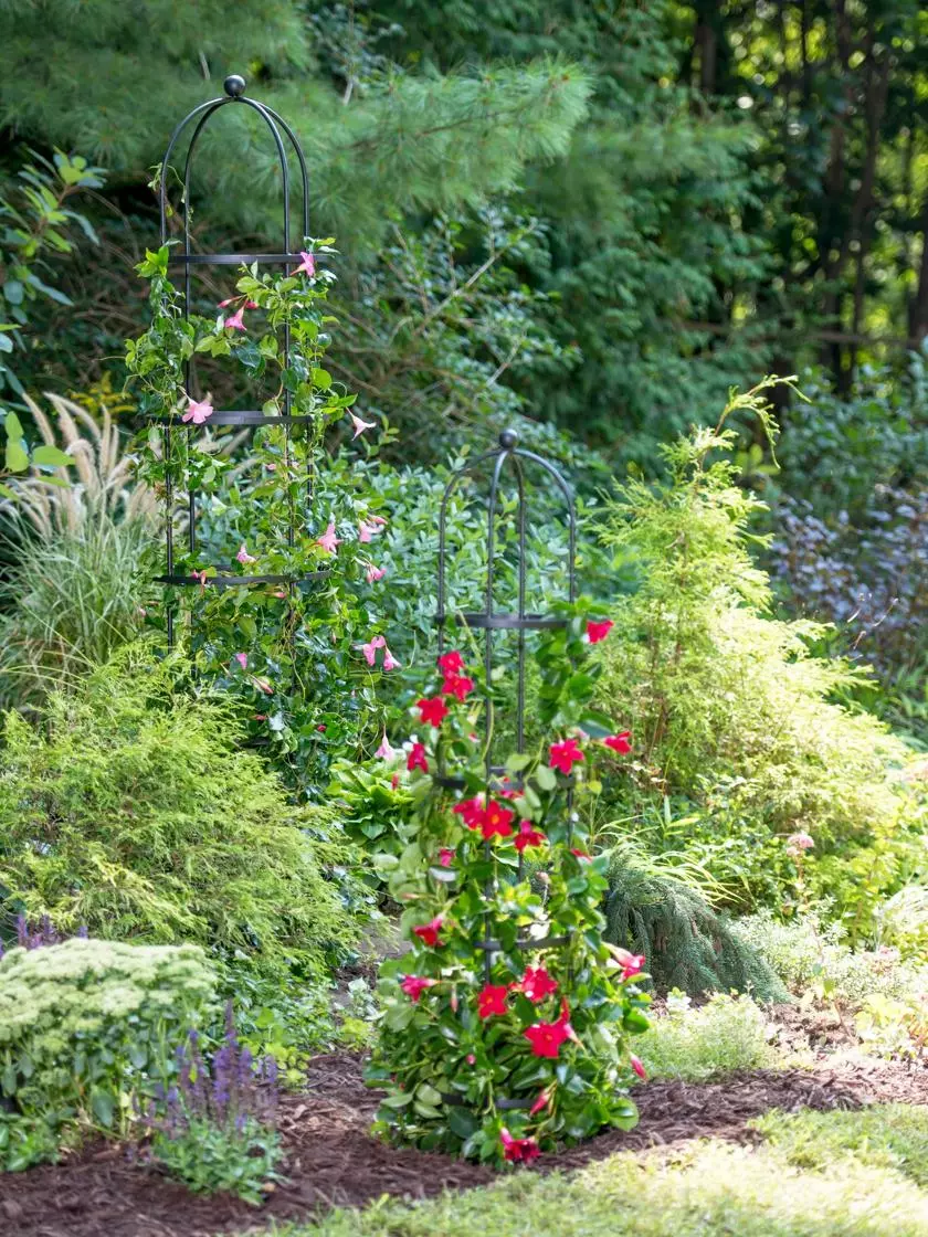 GSC Essex Round Trellises - Image 4