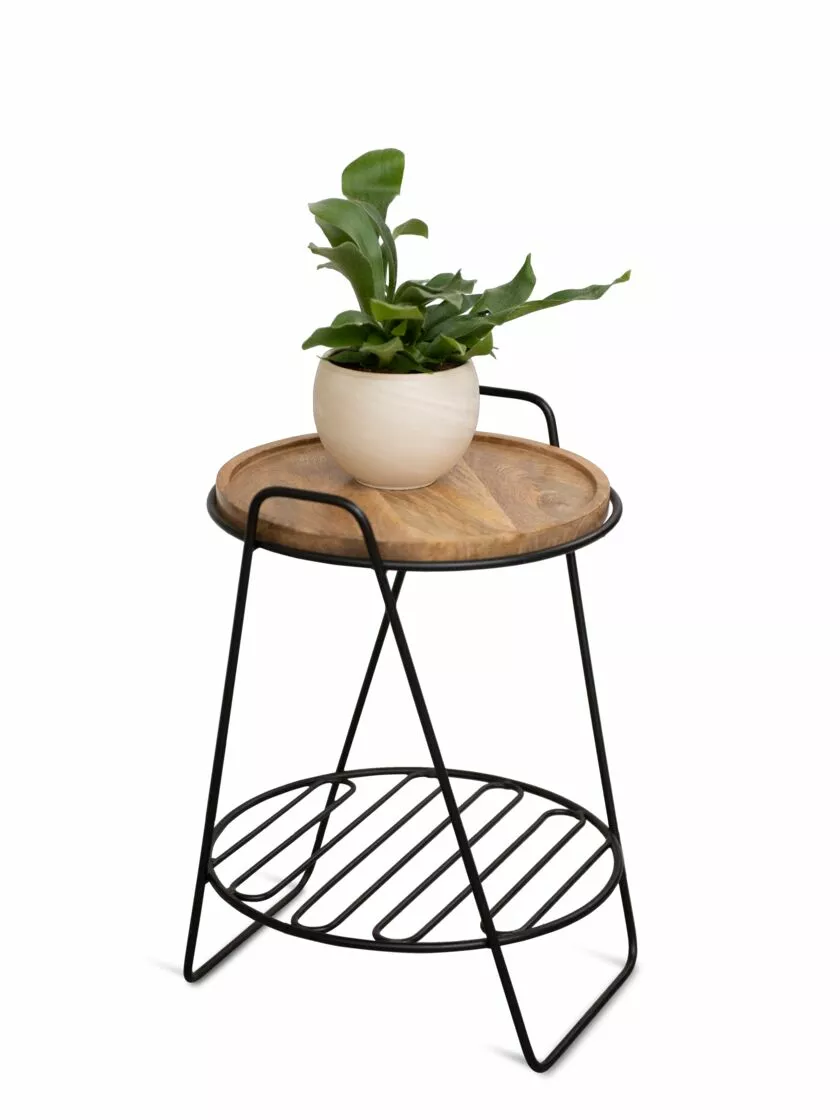 GSC Hairpin Plant Stand With Shelf - Image 2