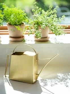 GSC Precision Brass Watering Can