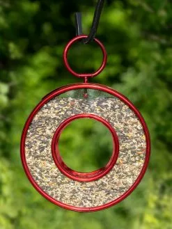GSC Circle Fly-Thru™ Bird Feeder With A Ruby Red Finish