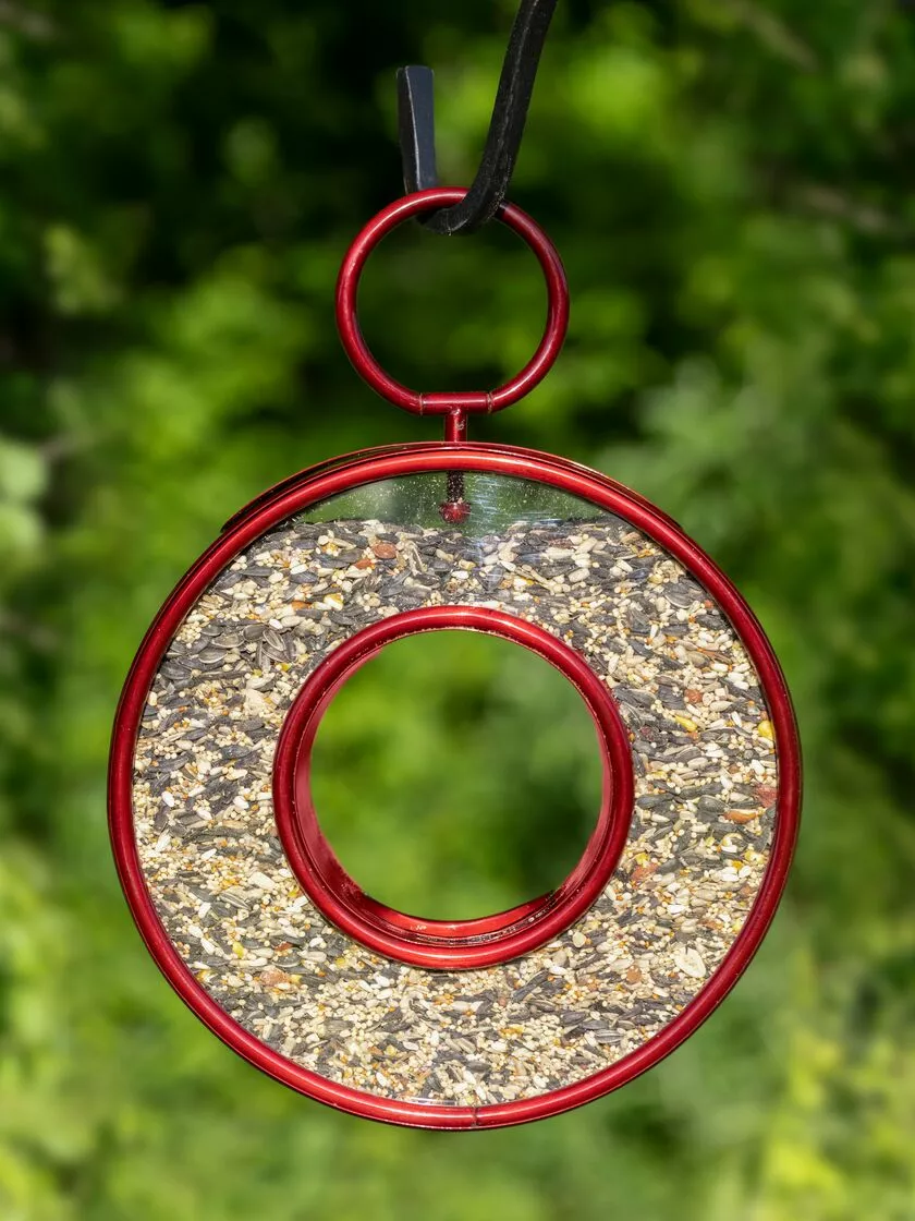 GSC Circle Fly-Thru™ Bird Feeder With A Ruby Red Finish