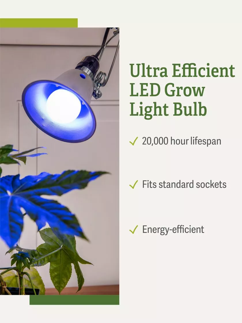 GSC Miracle LED® Grow Light Bulb, Blue - Image 3