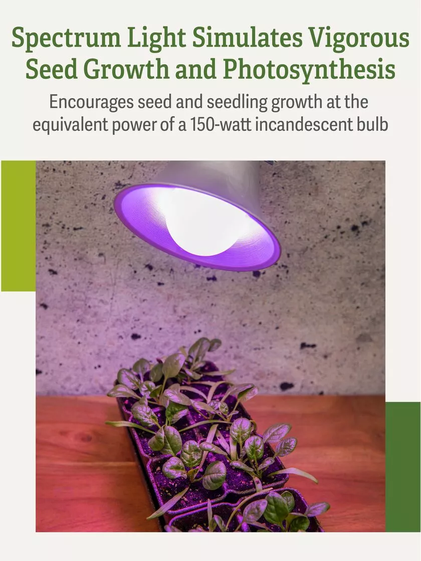 GSC Miracle LED® Grow Light Bulb, Red And Blue - Image 5