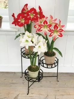 GSC Nesting Triple Pot Stand