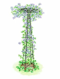 GSC Essex Tuteur, 78"