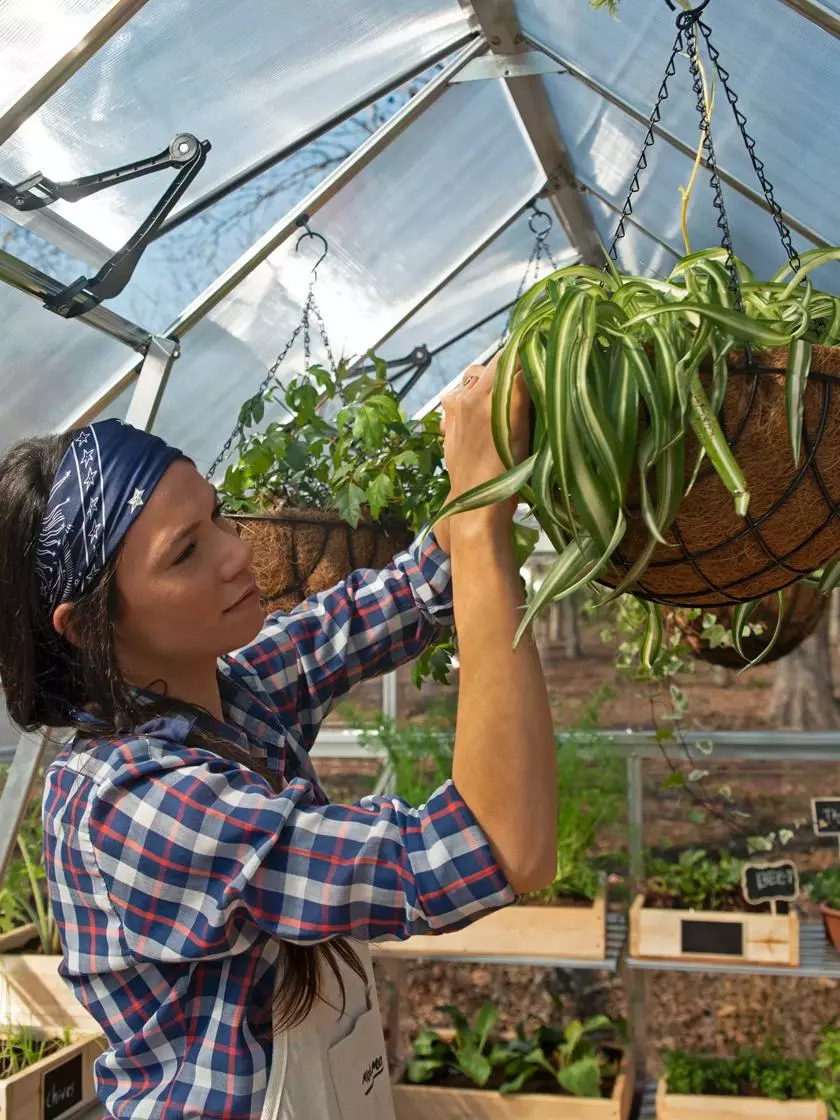 GSC Canopia® By Palram Balance Greenhouse, 8' X 12' - Image 15