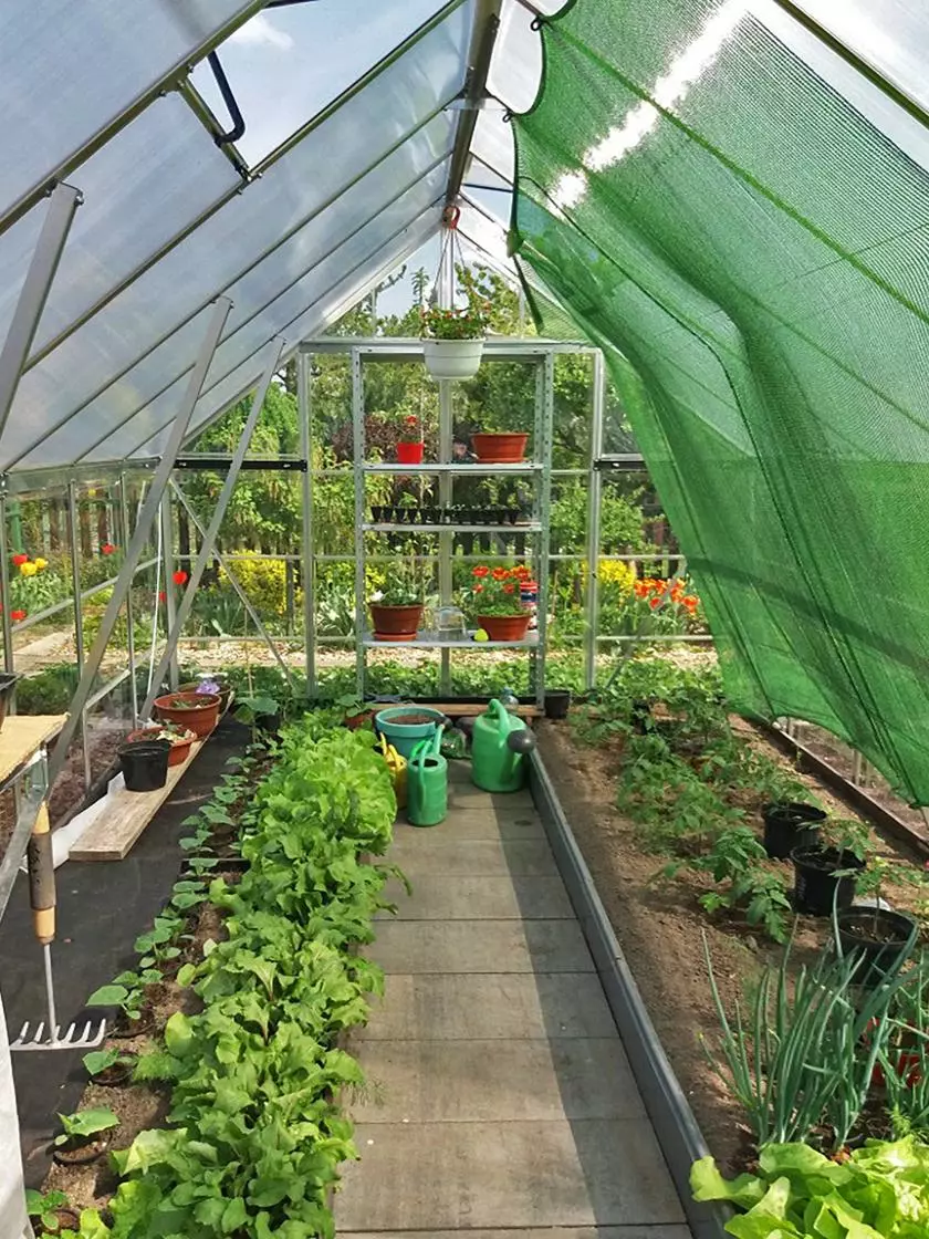 GSC Canopia® By Palram Balance Greenhouse, 8' X 12' - Image 11