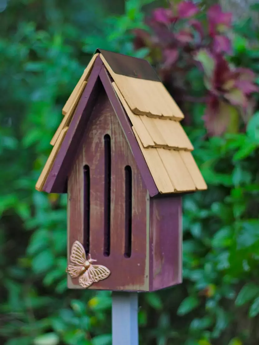 GSC Heartwood Butterfly Breeze House - Image 2