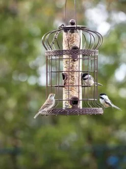 GSC Edwardian Bird Feeder