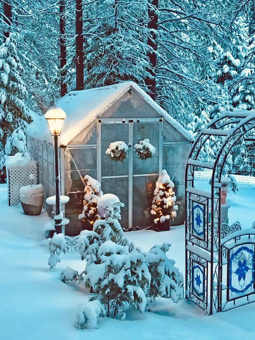 GSC Canopia® By Palram Harmony™ Snap & Grow Greenhouse, 8' - Image 16