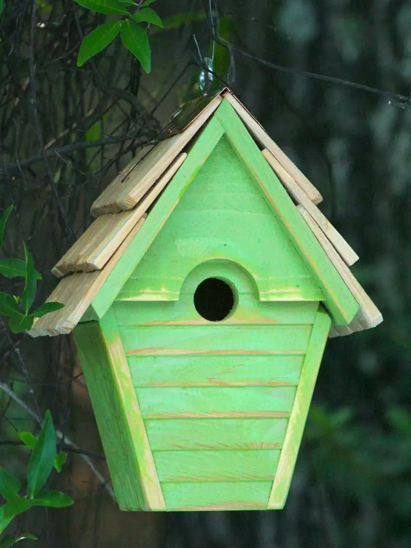 GSC Heartwood Wren-in-the-Wind Bird House - Image 7