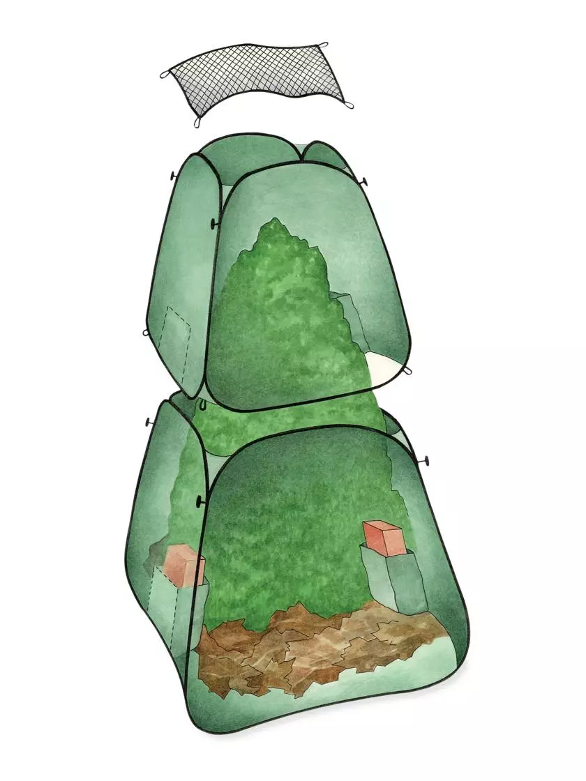 GSC Pop-Up Plant Protector - Image 4