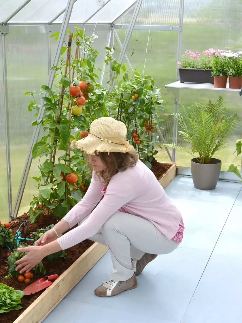 PRP Canopia® By Palram Essence™ Greenhouse, 8' X 12' - Image 4