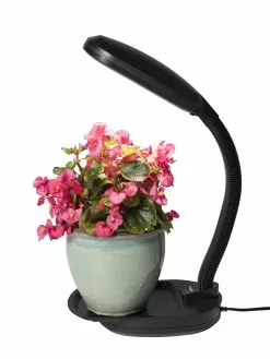 GSC Agrobrite Desktop Plant Light