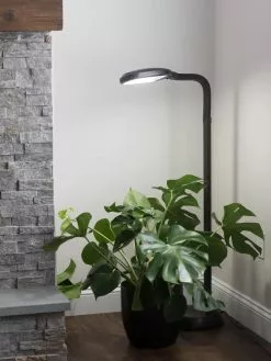 GSC Agrobrite Floor Plant Lamp