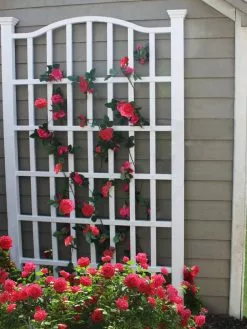 GSC Grande Vinyl Trellis