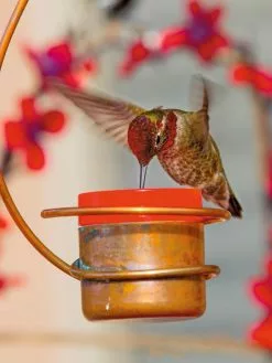 GSC Copper Hummingbird Feeder