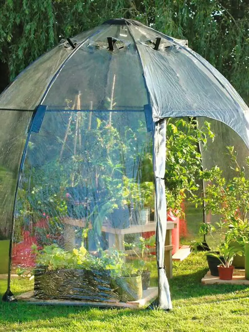 GSC Sunbubble Greenhouse - Image 3