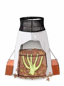 GSC Rosy Cozy® Rose Cone, Large