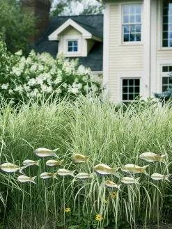 GSC Fish Out Of Water Garden Stakes, Set Of 5