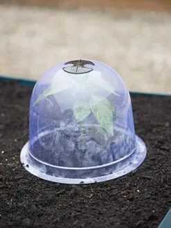 GSC Medium Garden Cloches, Set Of 6