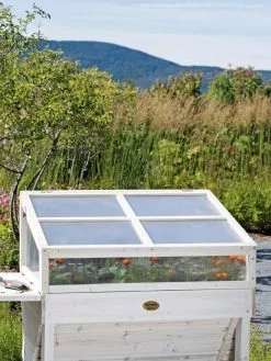 GSC Cold Frame For Compact VegTrug®