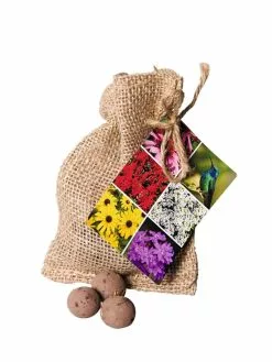 GSC Wildflower Seed Balls