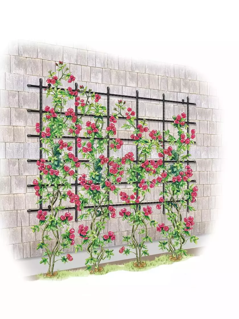 GSC Titan Customizable Wall Trellis