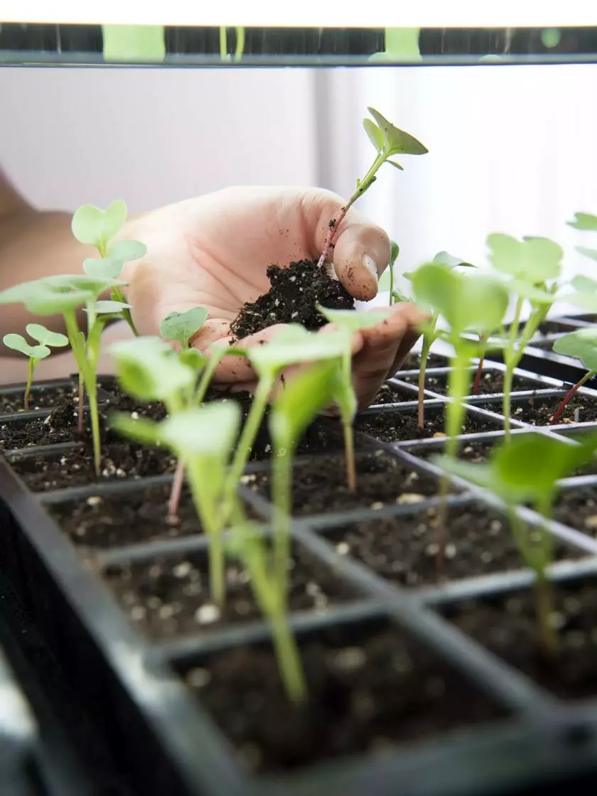 GSC LED Stack-n-Grow Lights - Base Unit - Image 4