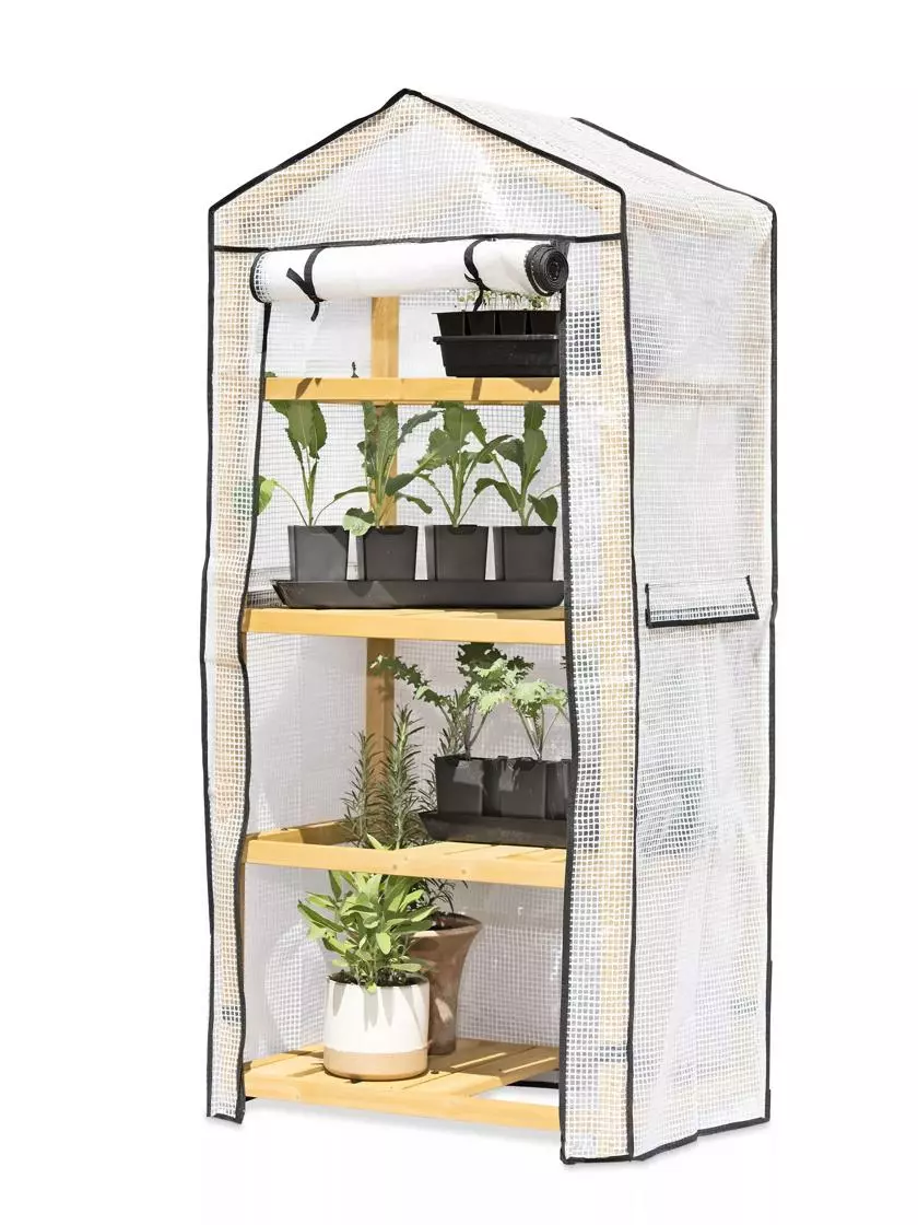 GSC VegTrug® Patio Greenhouse - Image 4