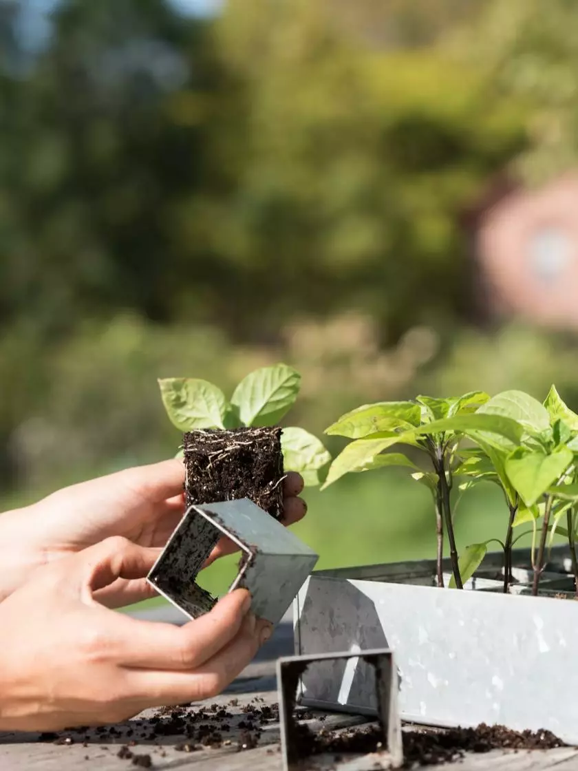 GSC Galvanized Seed Starting Tray - Image 3