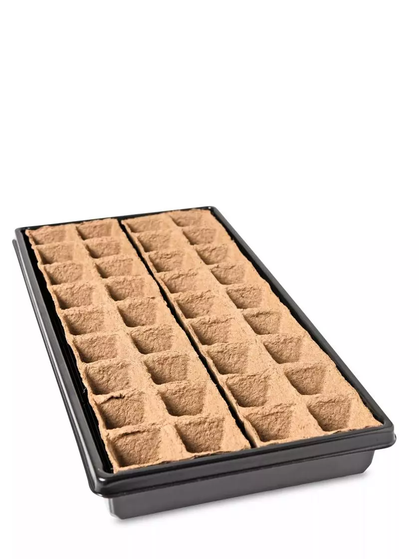 GSC 2” Square Biodegradable Pots And Tray Set - Image 3