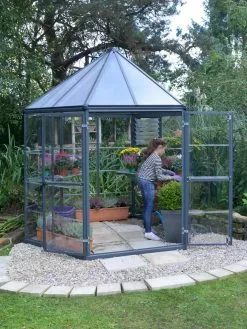 GSC Canopia® By Palram Oasis Hexagon Greenhouse