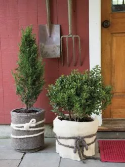 GSC GardenWool® Plant Blanket