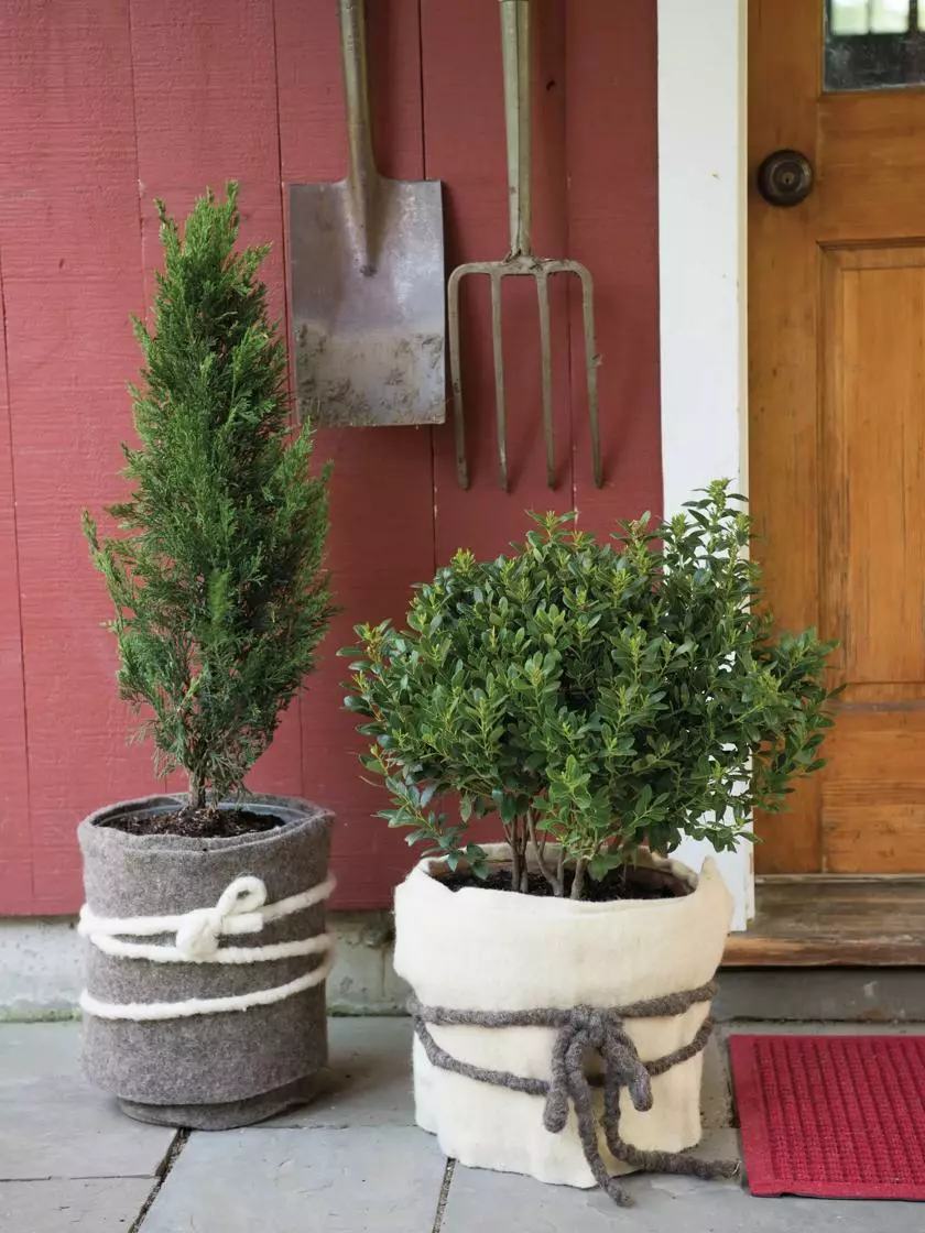 GSC GardenWool® Plant Blanket