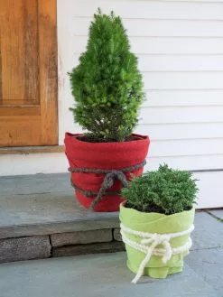 GSC GardenWool® Plant Wrap