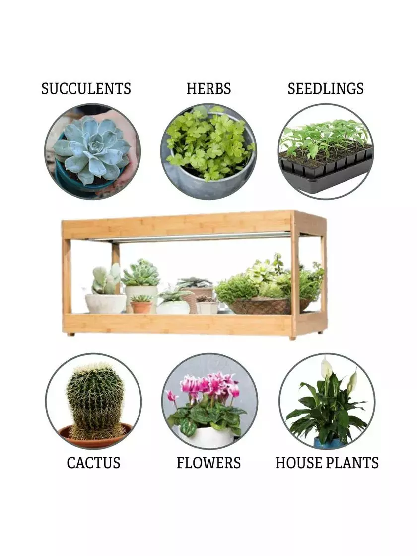 GSC Low Bamboo LED Grow Light Garden - Image 6