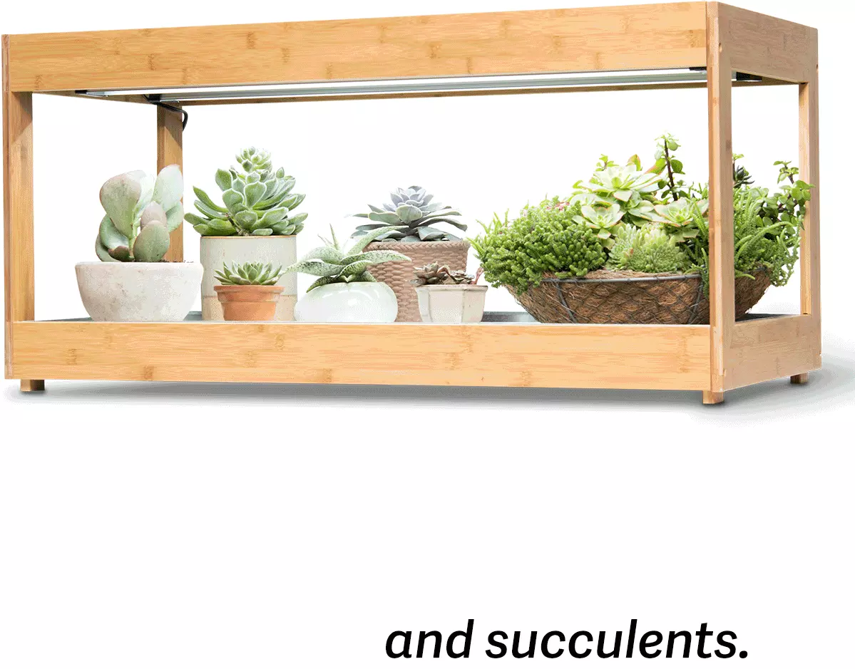 GSC Low Bamboo LED Grow Light Garden - Image 8