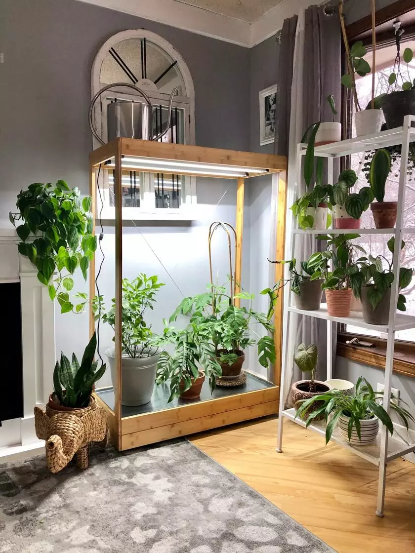 GSC Tall Bamboo LED Grow Light Garden - Image 4