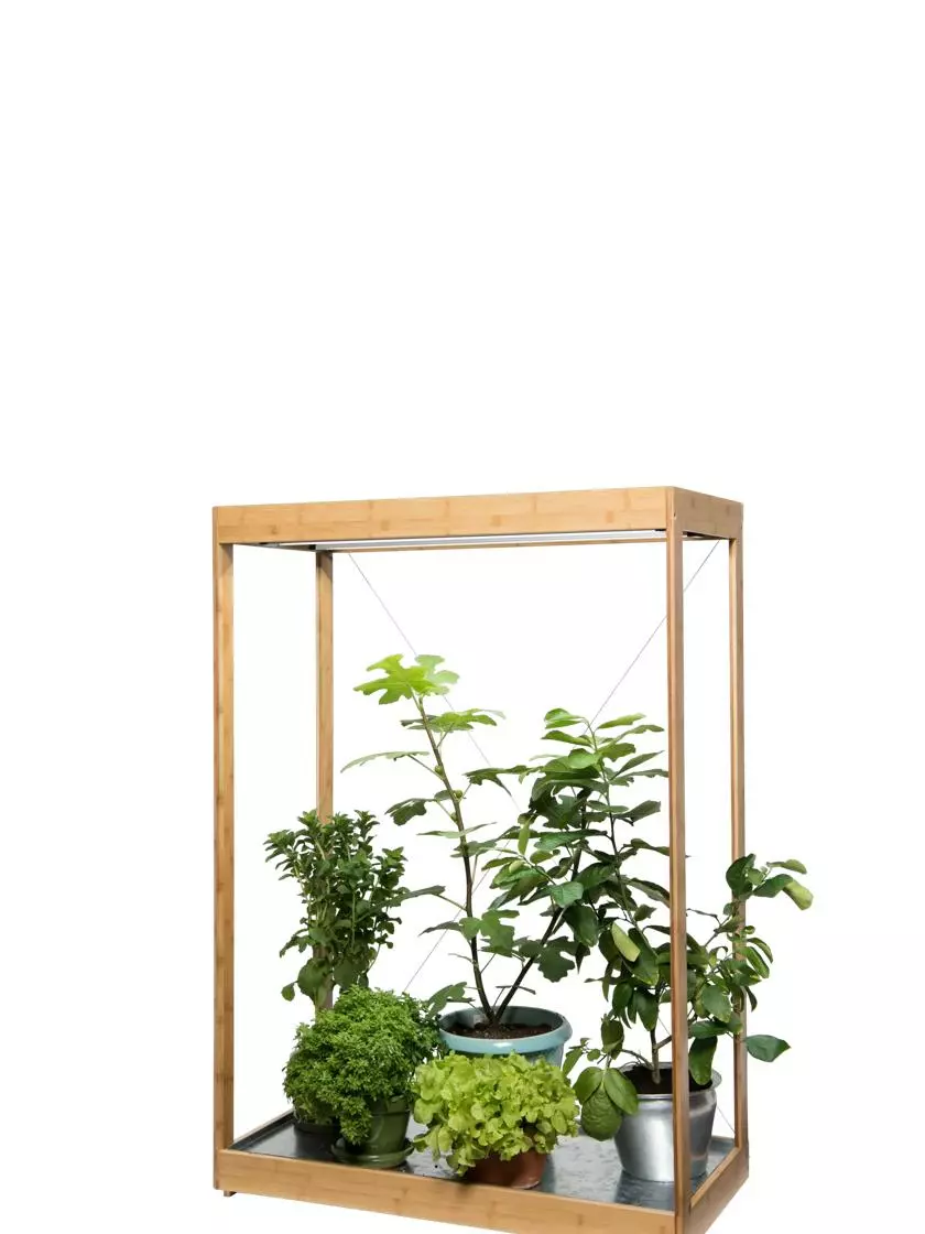 GSC Tall Bamboo LED Grow Light Garden - Image 5