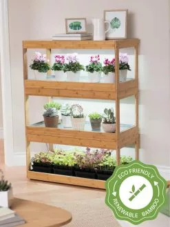 GSC Bamboo LED Grow Light Garden For Succulents And Seeds