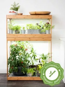 GSC Bamboo Home LED Grow Light Garden