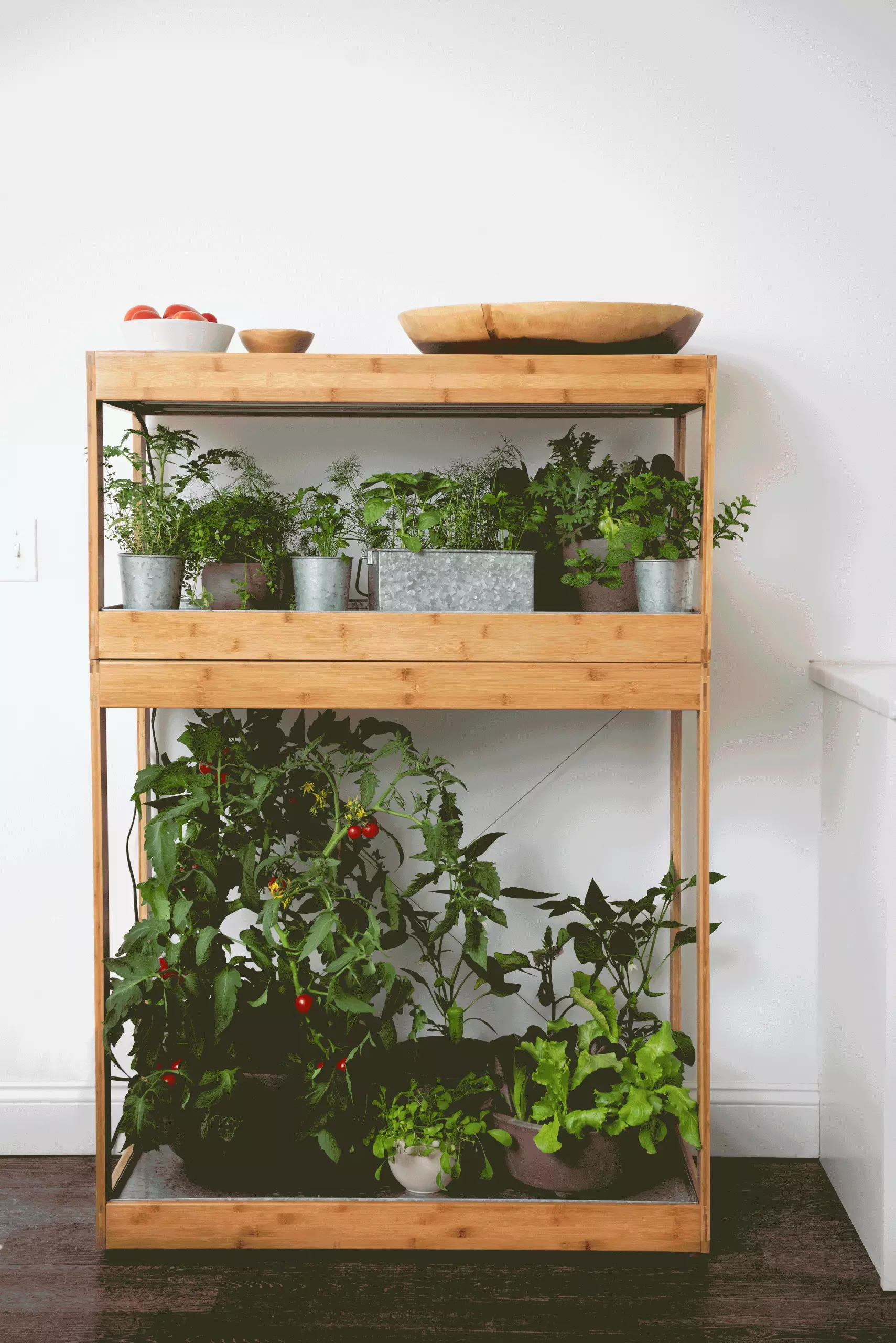 GSC Bamboo Home LED Grow Light Garden - Image 5