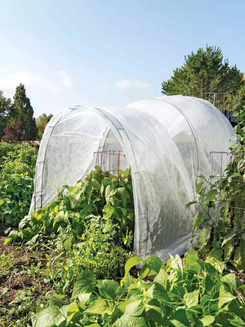 GSC Super Hoop Bases, Set Of 6 - Image 2