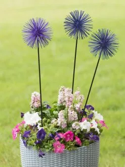 GSC Everbloomin' Alliums, Set Of 3