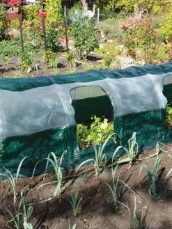 GSC Super Dome Protection Tunnel